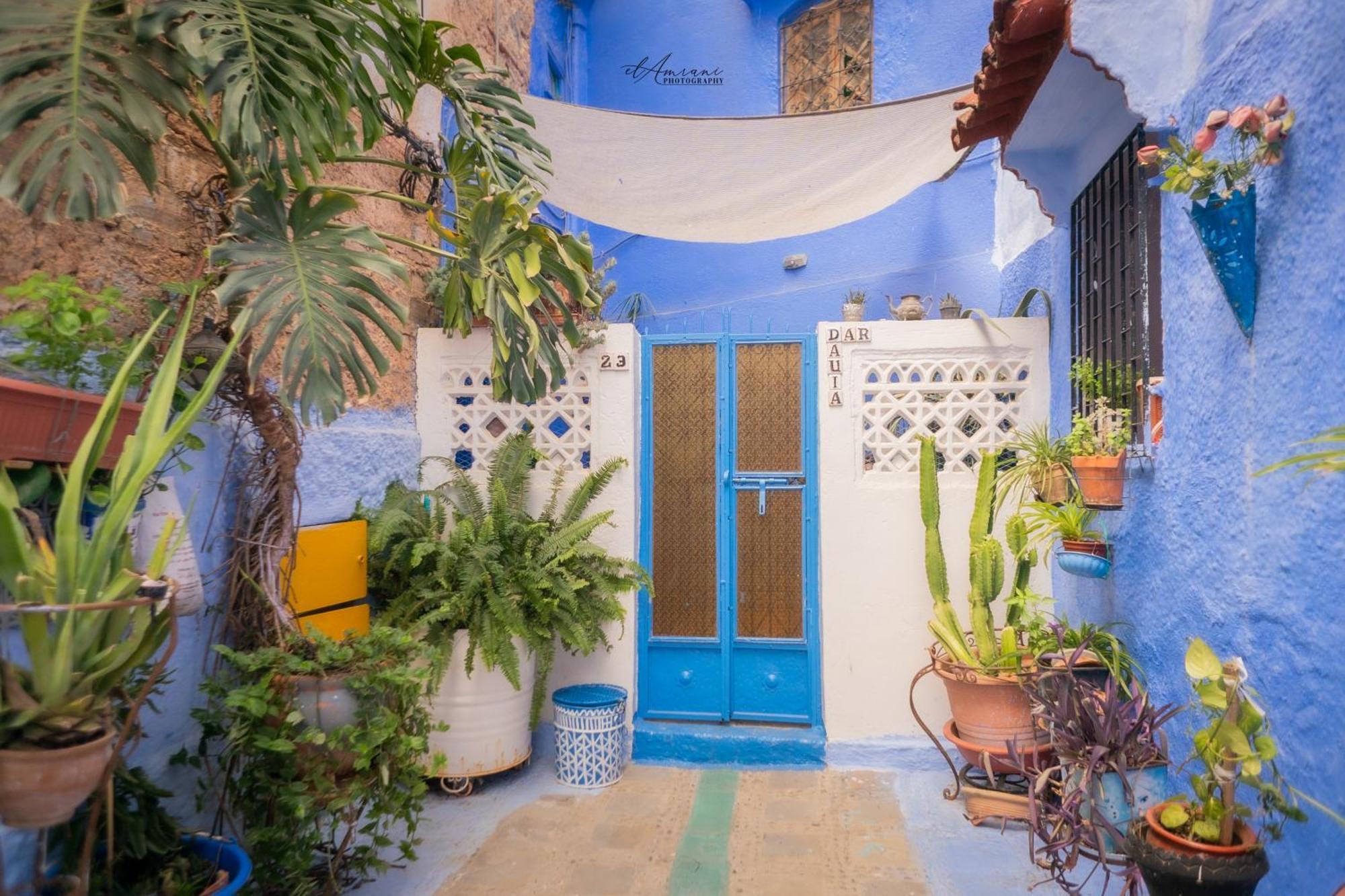 Dar Dauia Διαμέρισμα Chefchaouen Εξωτερικό φωτογραφία